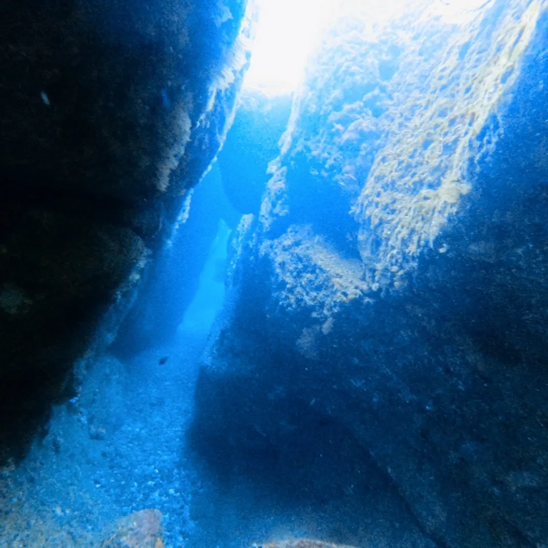 本日は田辺天神崎ダイビング気温が5度水温が😊海洋ダイブ二日目...