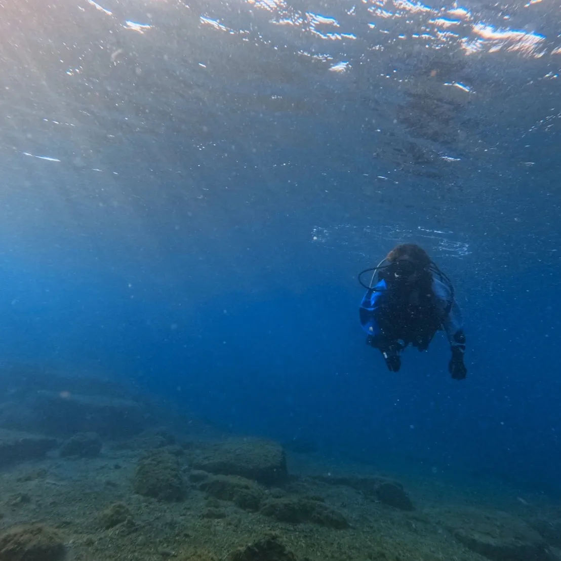 本日は田辺天神崎ダイビング気温が5度水温が😊海洋ダイブ二日目...