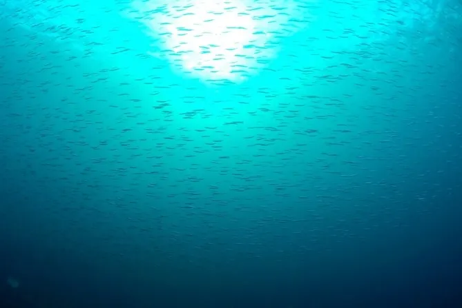 2026.02.10田辺ボート