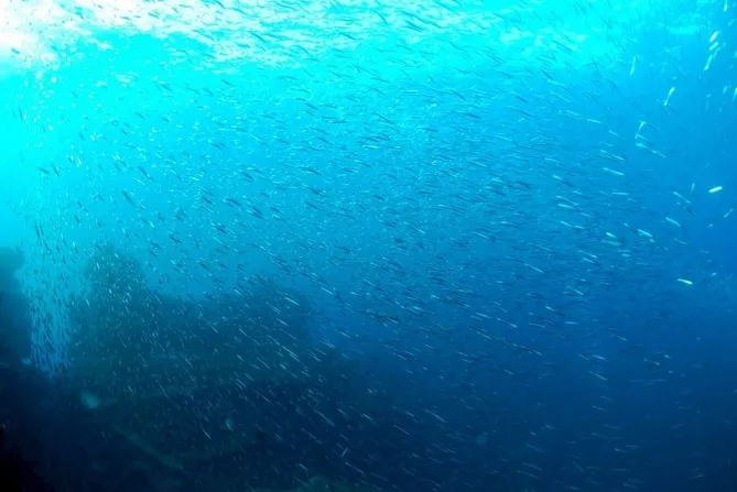 2026.02.10田辺ボート