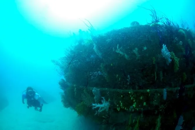 2026.02.10田辺ボート