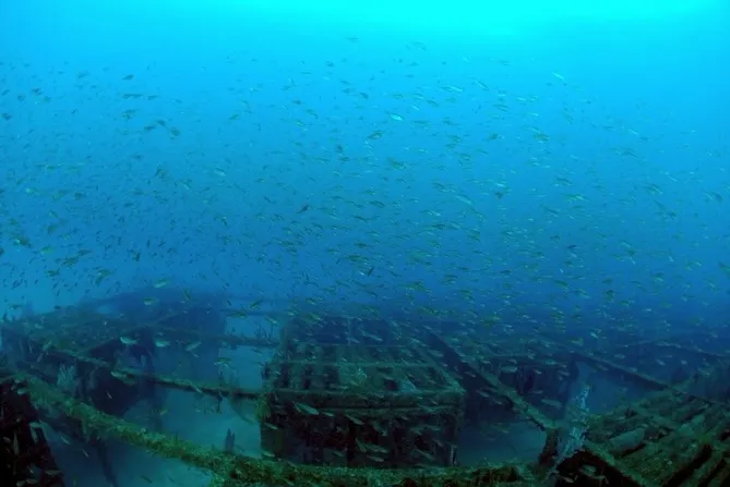 2026.02.10田辺ボート