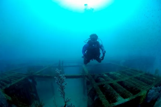 2026.02.10田辺ボート