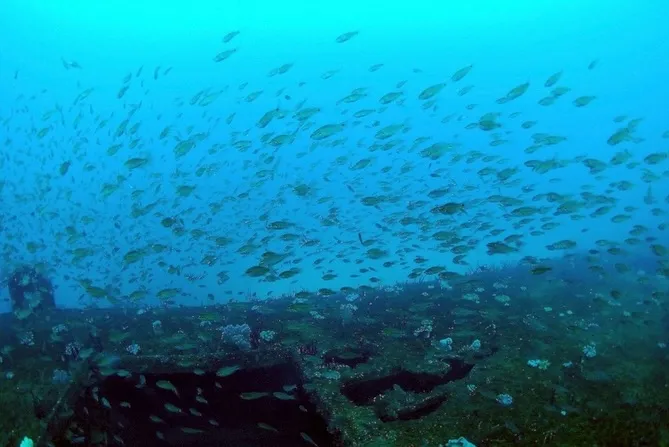 2026.02.10田辺ボート