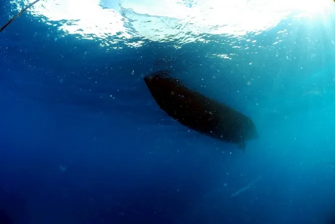 2026.02.10田辺ボート