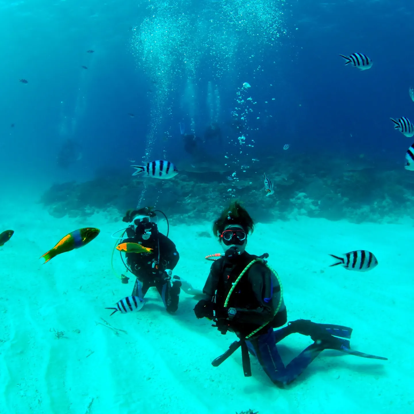 2/14土曜日バレンタインデー❤️は日帰り沖縄チービシ諸島２...