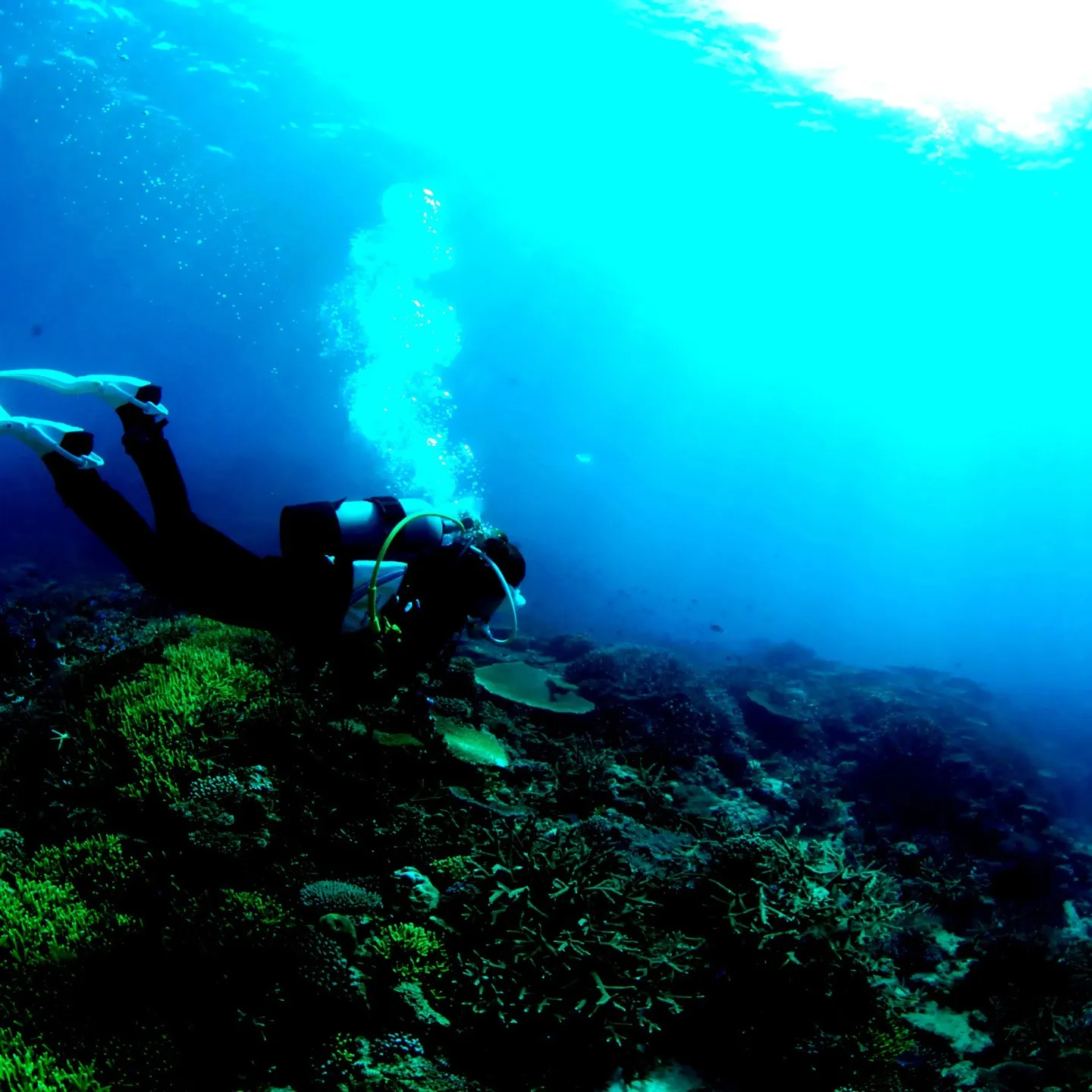 2/14土曜日バレンタインデー❤️は日帰り沖縄チービシ諸島２...