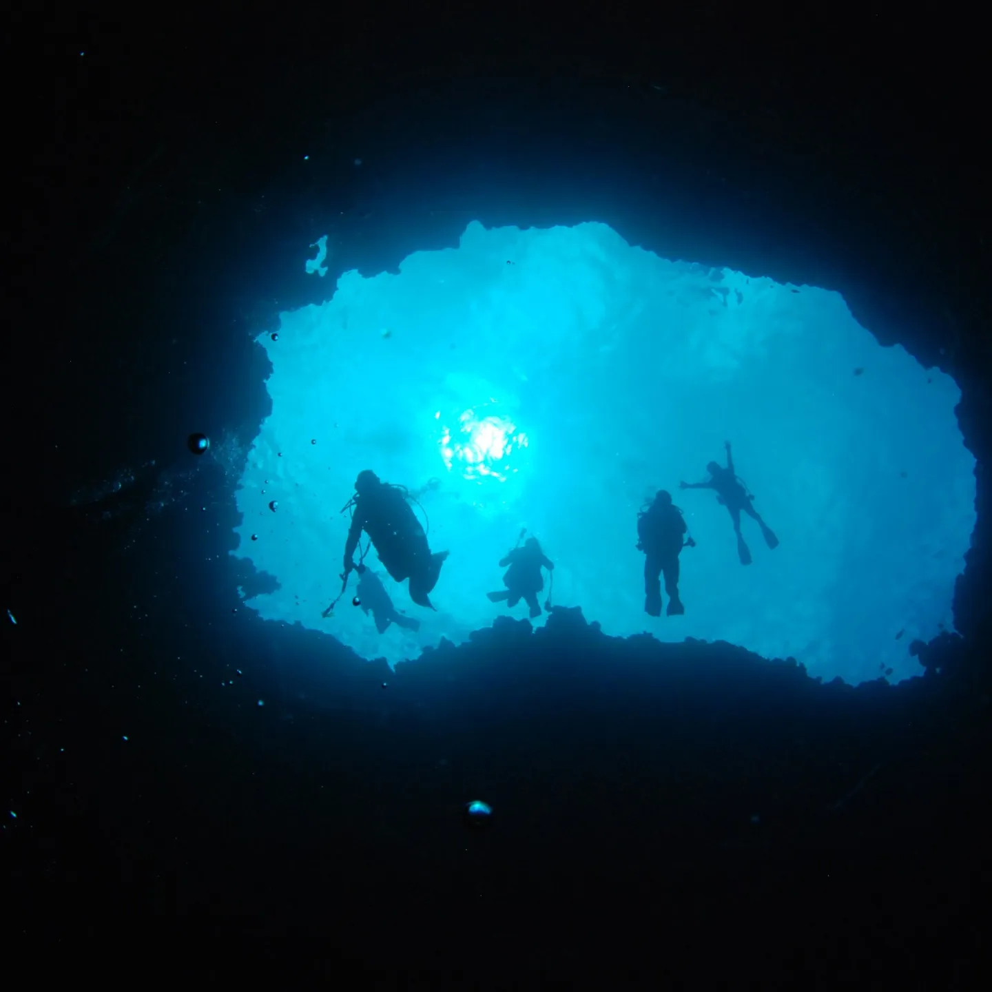 先週のパラオは中四日間毎日3ダイブ合計12ダイブ✌️早朝05...