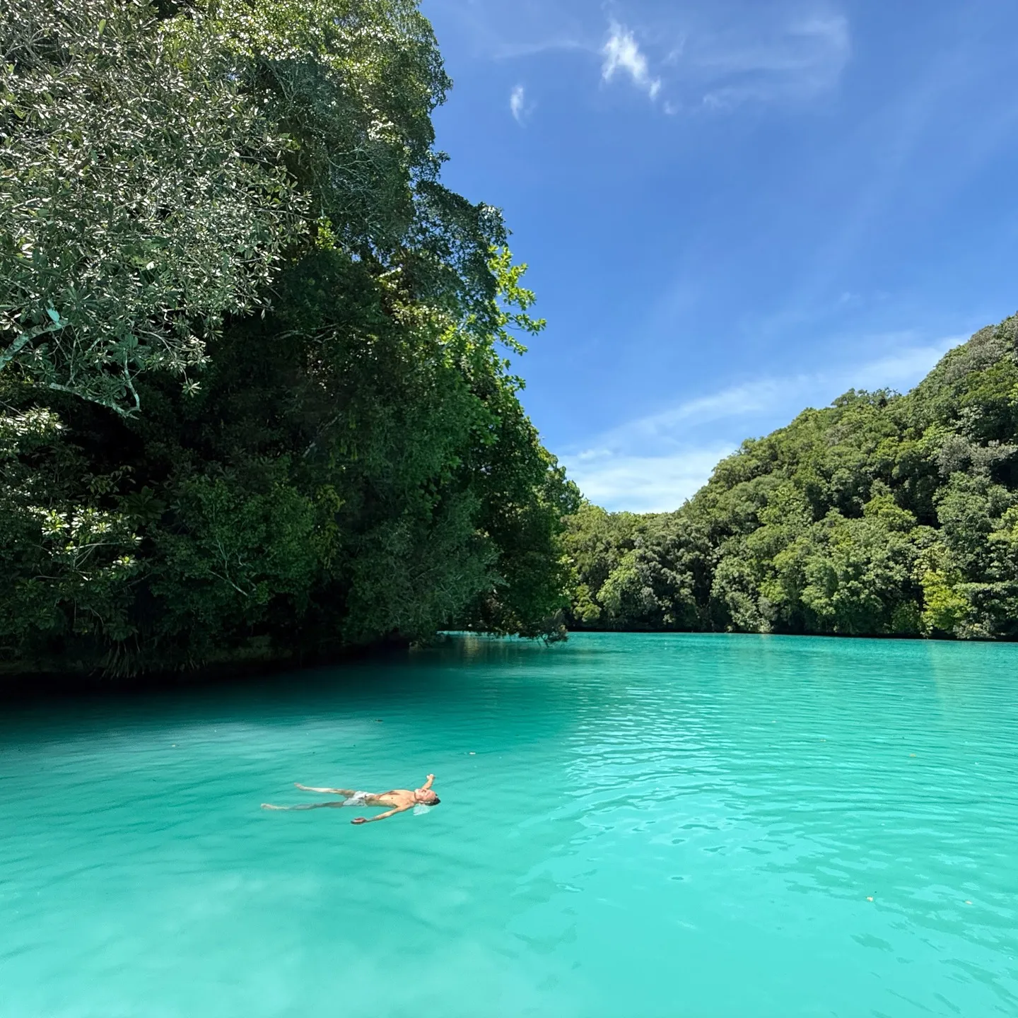 先週のパラオは中四日間毎日3ダイブ合計12ダイブ✌️早朝05...
