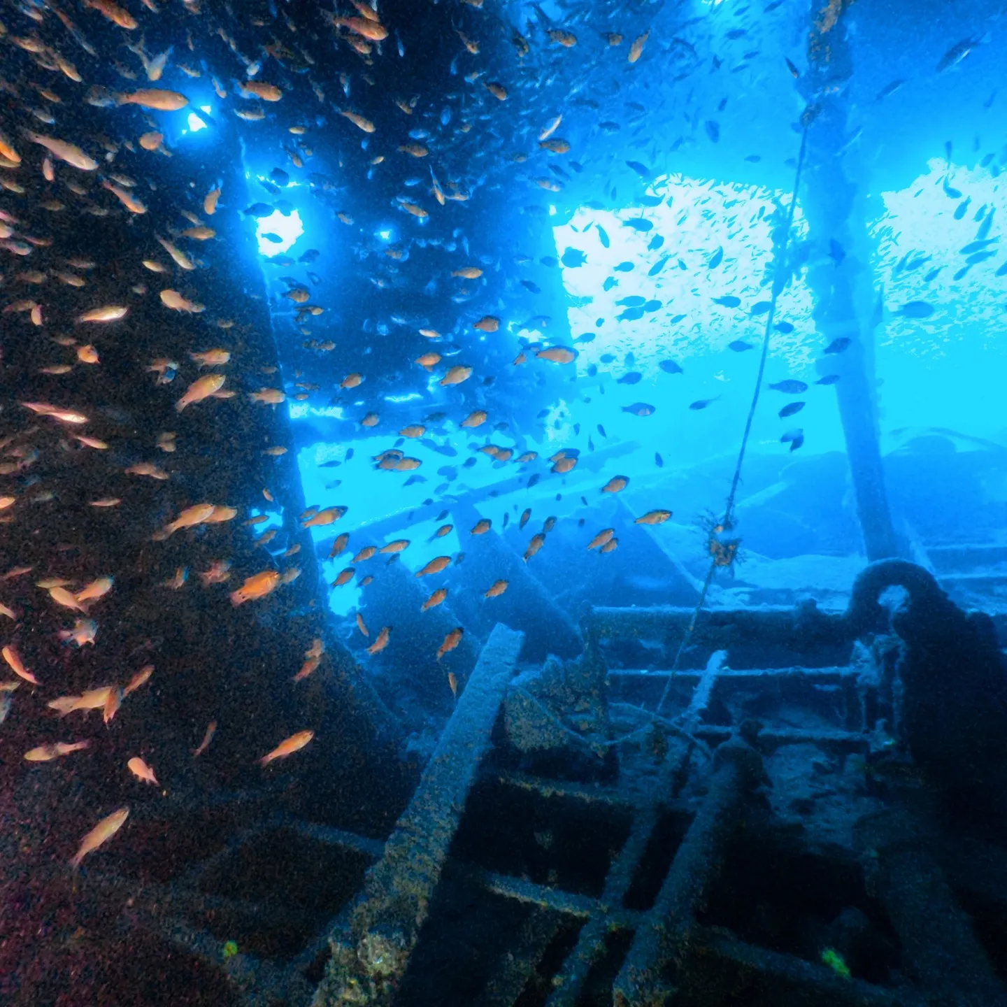 4/11熱海にて沈船ダイブ🧜‍♂️4/12雲見にてカバーンダ...