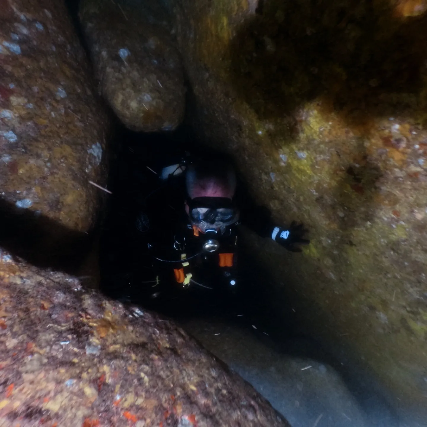 4/11熱海にて沈船ダイブ🧜‍♂️4/12雲見にてカバーンダ...