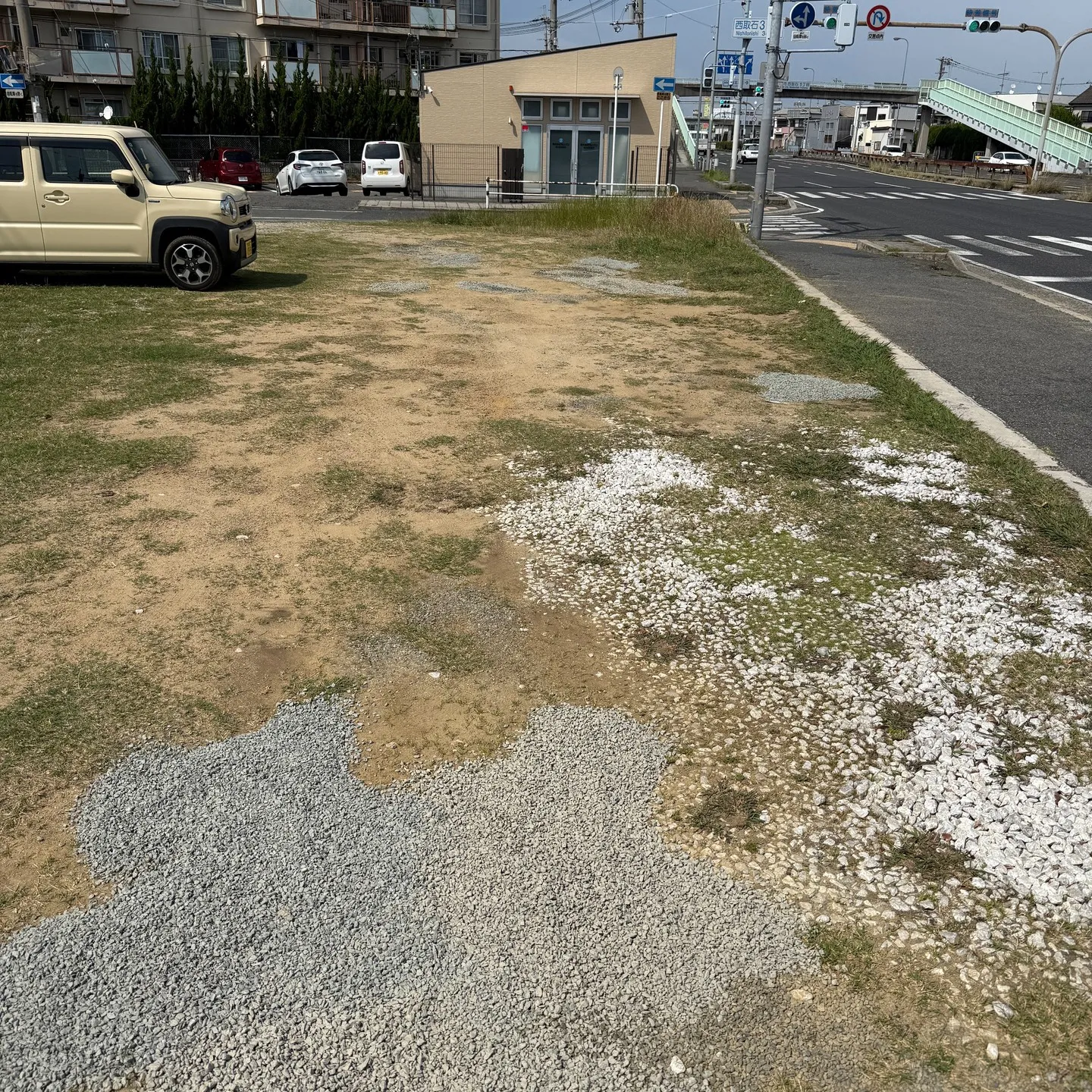 本日は何もない平日なので🐙