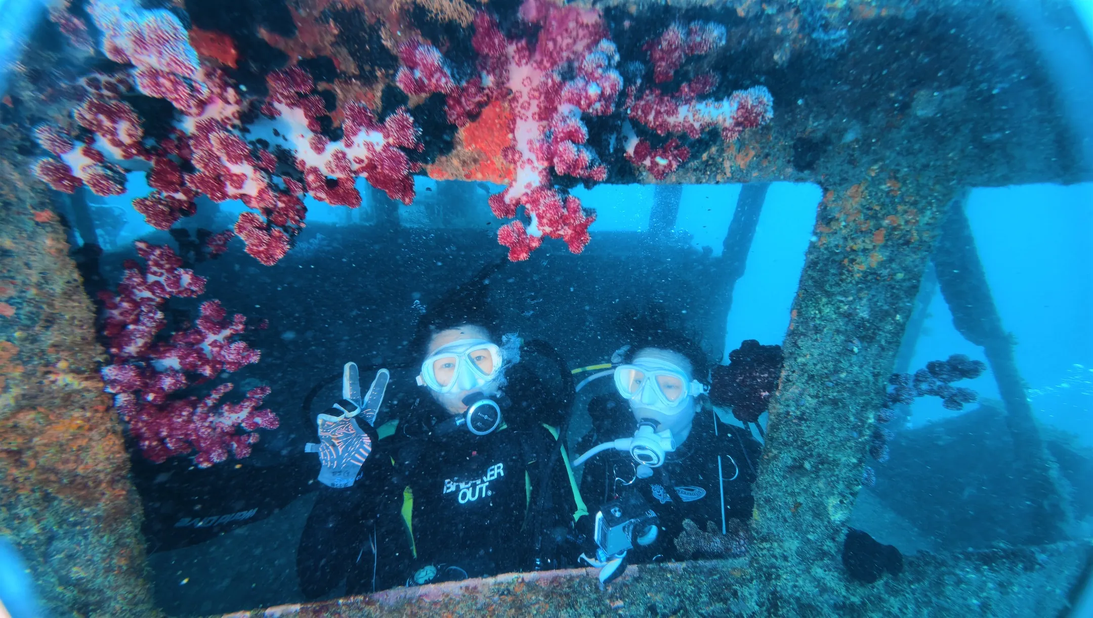 🌊21歳おめでとう！白浜沈船ダイブ🚢