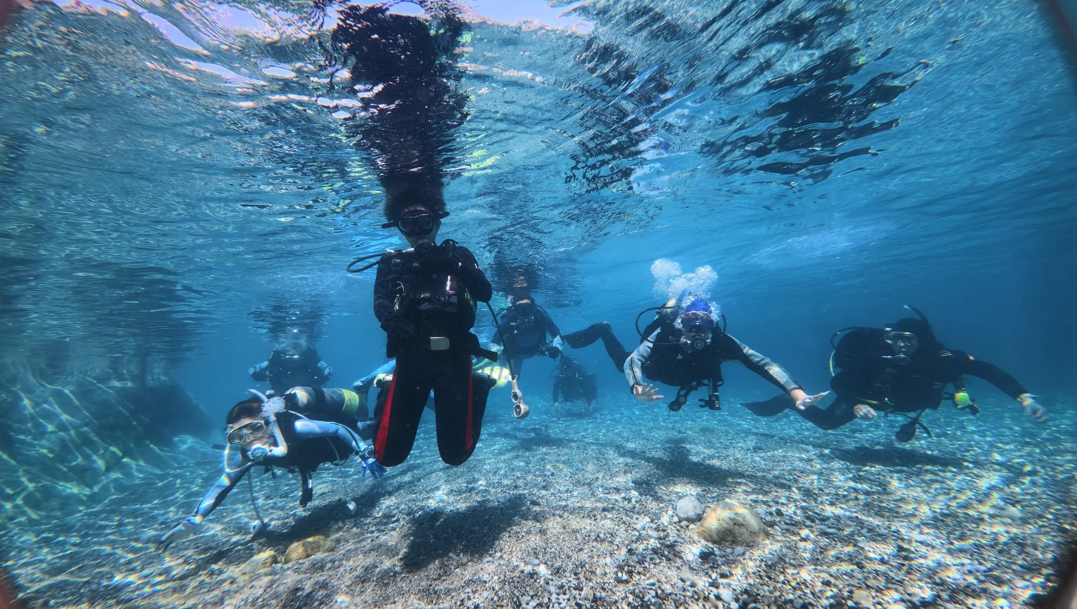 夏の日差しを浴びて🌞 白崎シャクシノ浜でワクワクダイビング!
