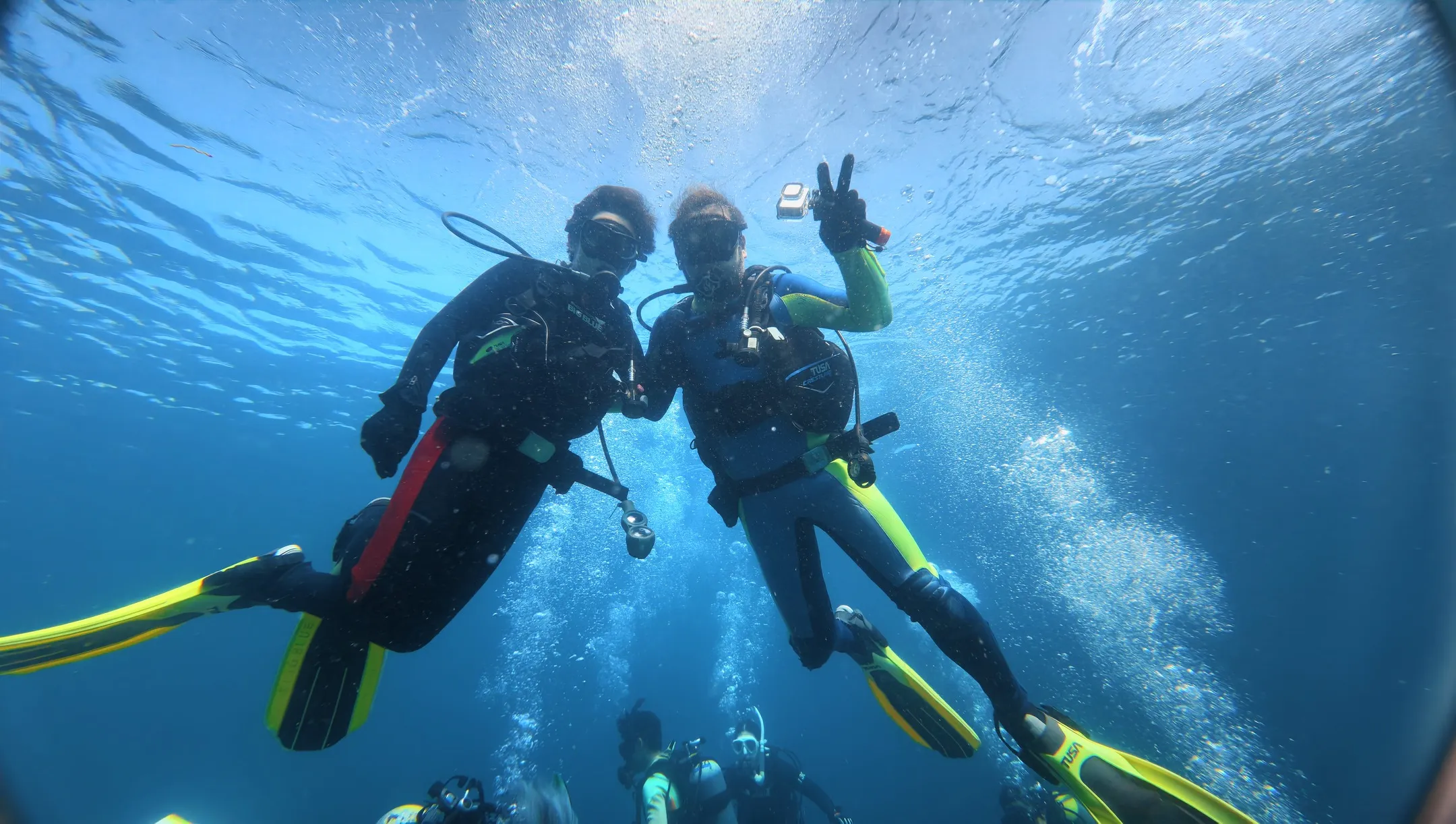 夏の日差しを浴びて🌞 白崎シャクシノ浜でワクワクダイビング!