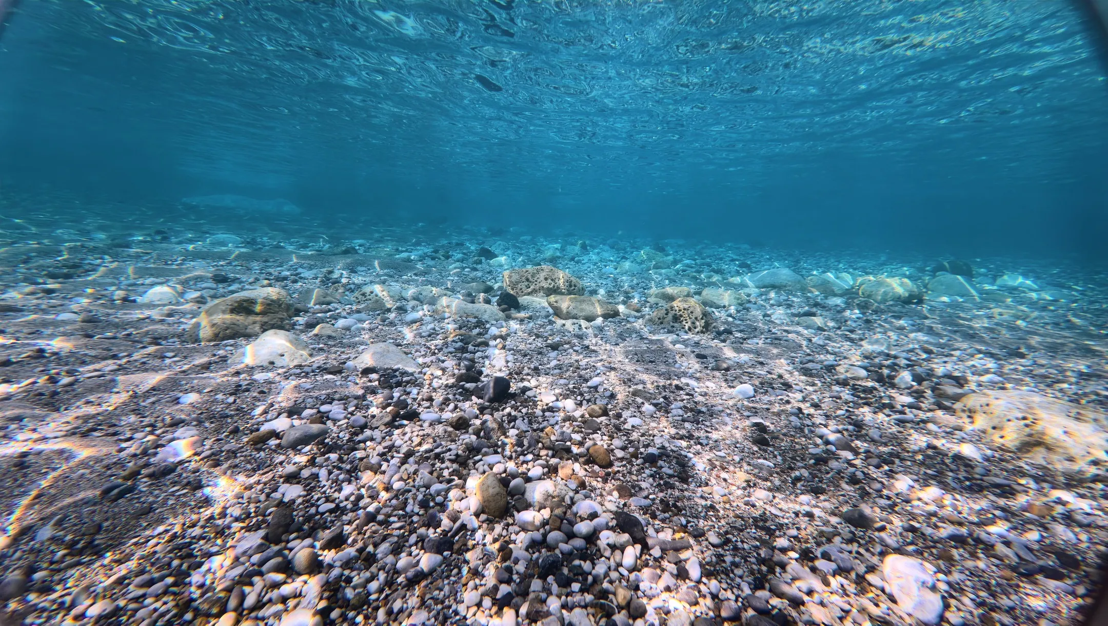 夏の日差しを浴びて🌞 白崎シャクシノ浜でワクワクダイビング!