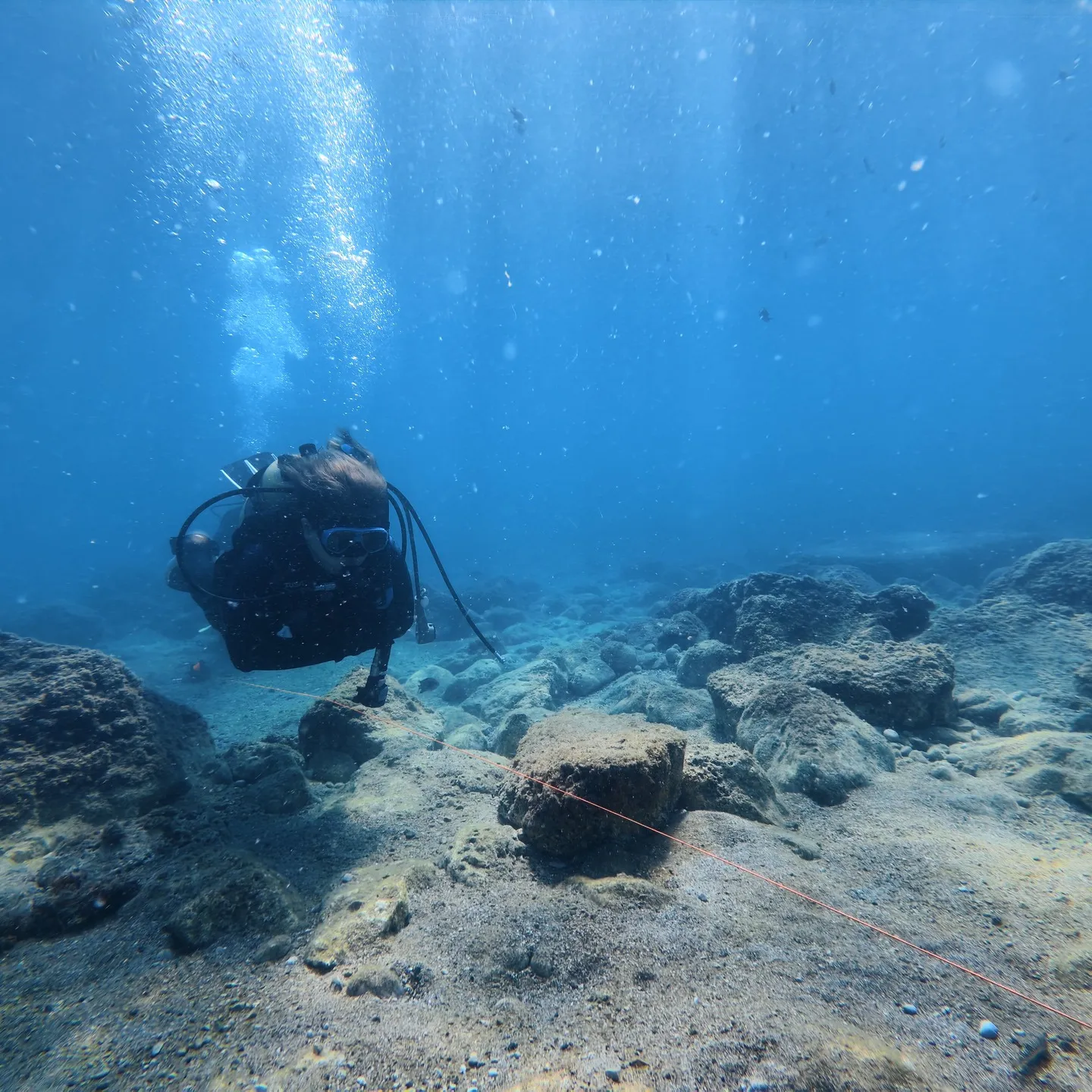 ダイビングはじめませんか？🐠✨