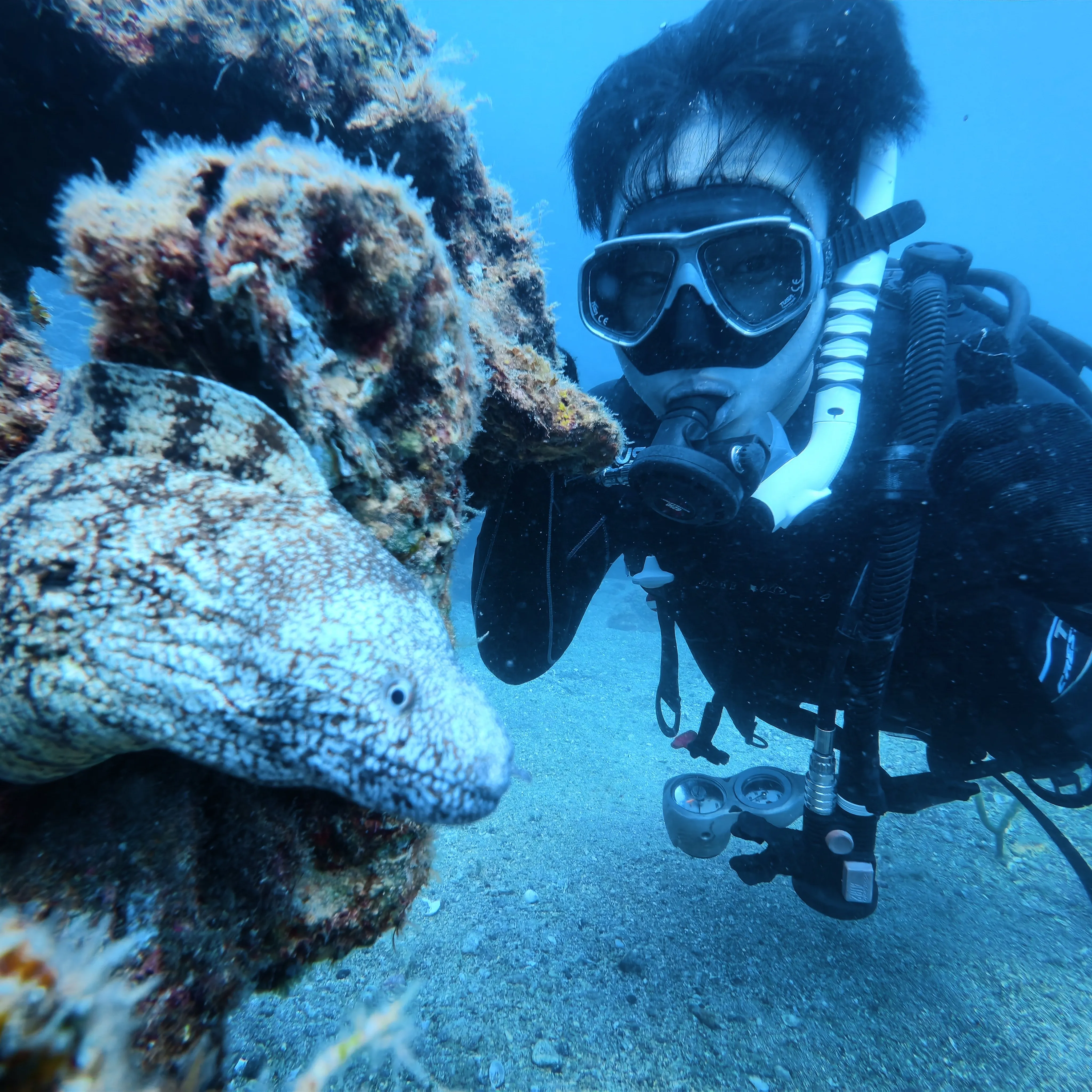🌊いよいよダイビングスクールのベストシーズン到来！毎日熱気ム...