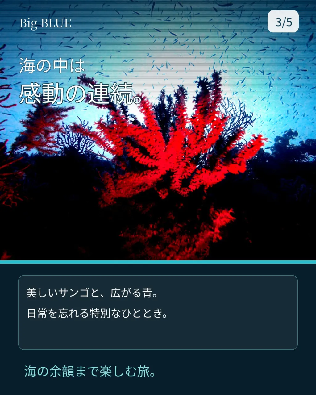 天気も透明度も一気に回復！🤿