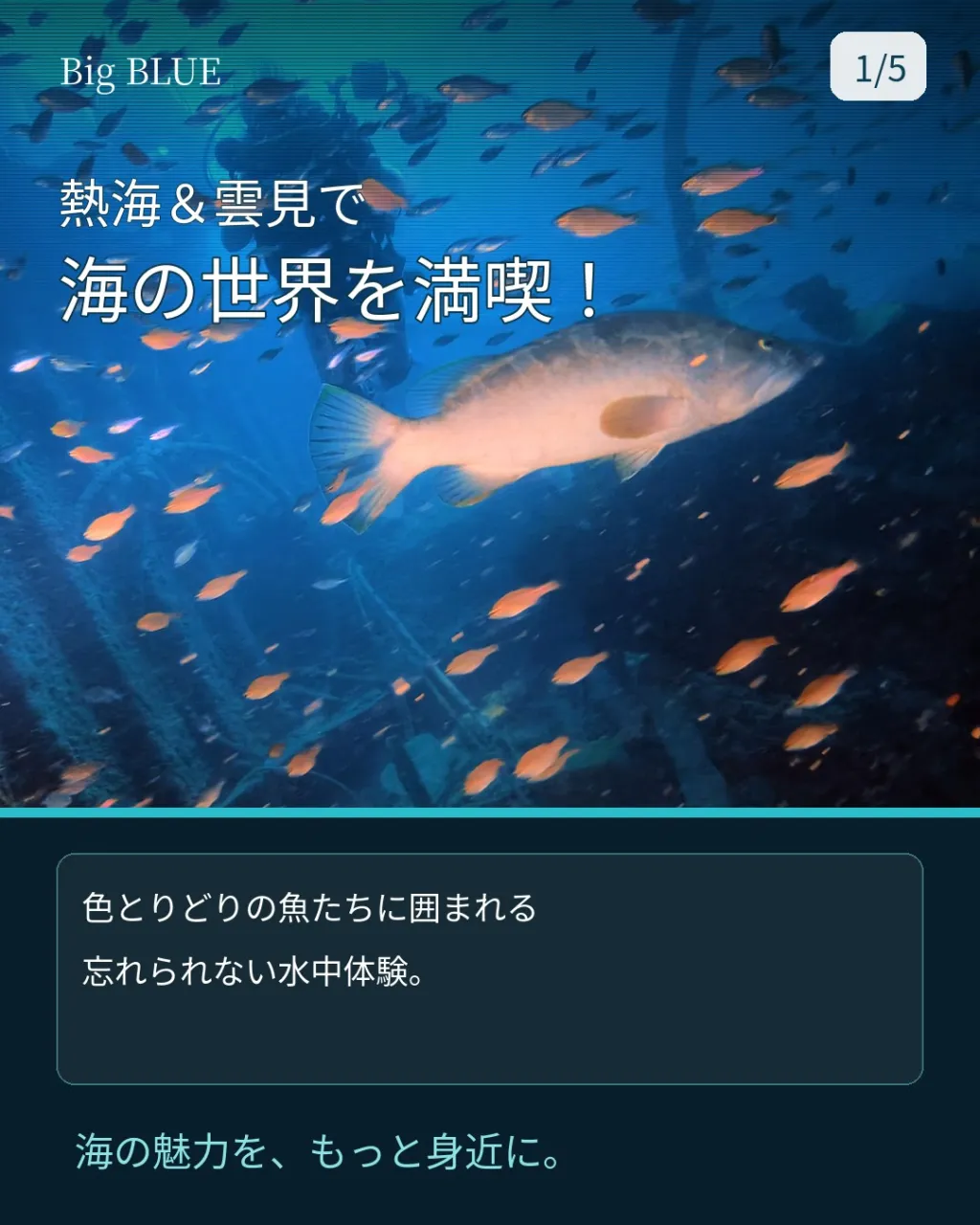 天気も透明度も一気に回復！🤿
