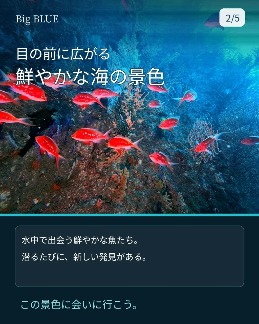 天気も透明度も一気に回復！🤿