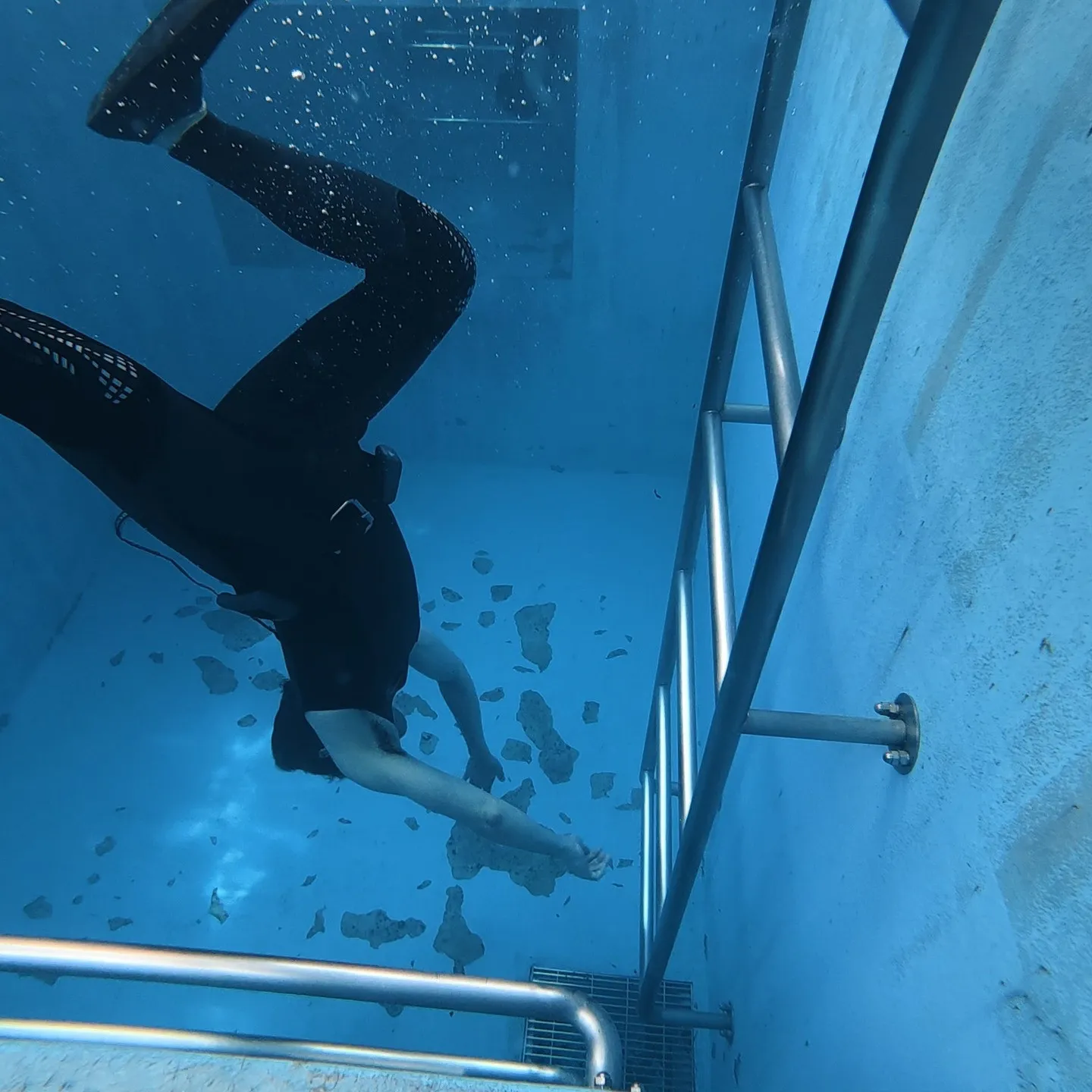 フリーダイビングに挑戦しよう🌊