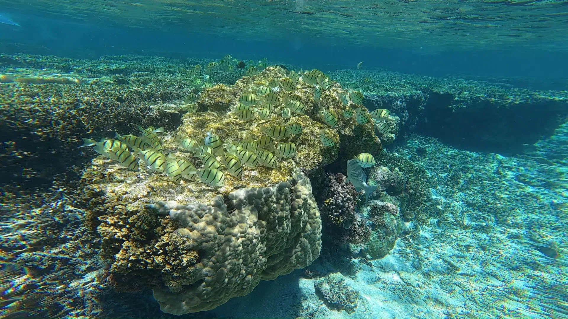 太陽の光が差し込む美しい宮古島の海を、82歳のゲスト様と一緒...